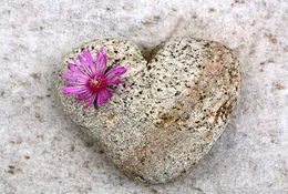 Love-hate-images48 Love-hate-images48