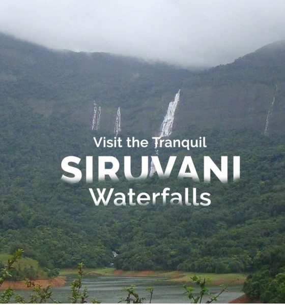 majestic view of siruvani falls-min