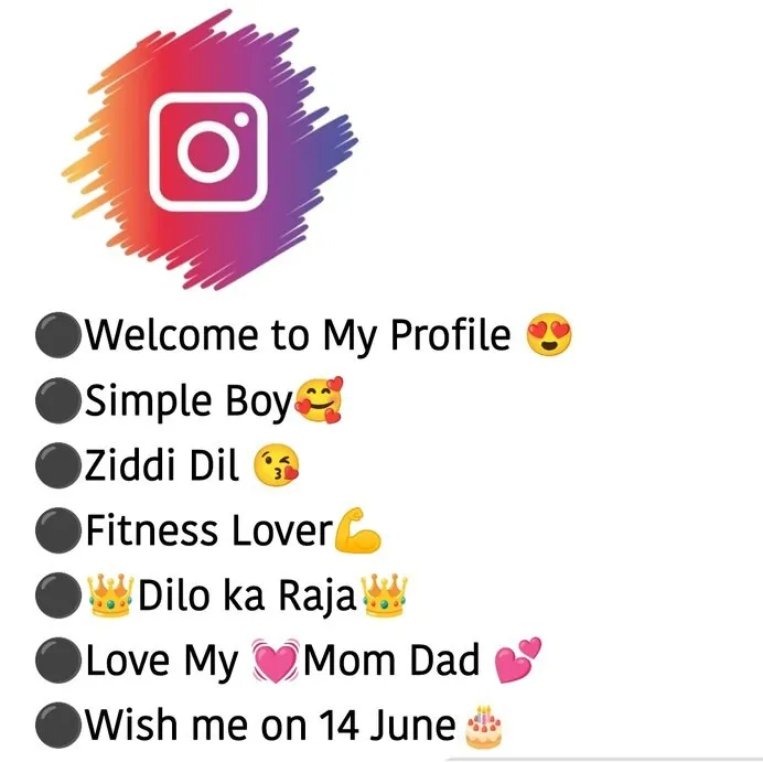 instagram bio for boys attitude stylish bio