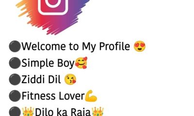 instagram bio new style