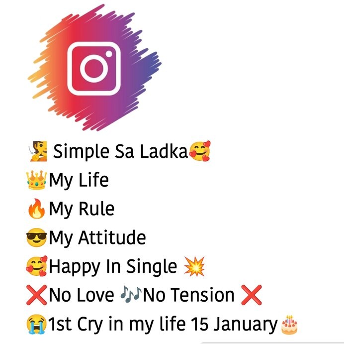instagram style bio